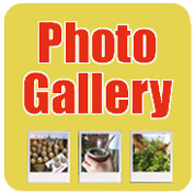 Phot Gallery